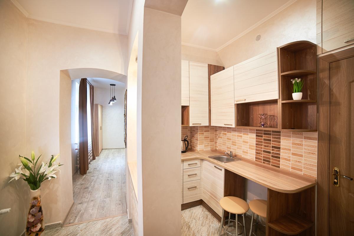 Apartment On Horodotska Street 利沃夫 外观 照片